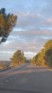 Ronda is one of Spain’s oldest towns, with history dating back to Roman times. Even during a short visit, you can feel that history everywhere — in the narrow streets, old wooden doors, and layers of architecture built over centuries.
Ronda makes an impression the moment you arrive. The first thing that takes your breath away is Puente Nuevo. The bridge took over 40 years to build and was completed in 1793, stretching nearly 100 meters above the El Tajo gorge. It’s massive, powerful, and instantly mesmerizing.
Ronda leaves a strong impression. Definitely a place worth adding to your Spain list. #Spain #rondaspain #traveling #movetospain #visitspain🇪🇸