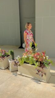 Visit the art show, “Take Me Away” in the Alpharetta Art Center, that showcases vibrant and spirited artworks that capture the heart and soul of different cultures.
.
.
.
#artgallery #artcenter #alpharetta #atlanta #roswell #artexhibition #artexhibit #artist #artofvisuals #painting #photography #whattodoinalpharetta #whattodoinatlanta #colorpalette #creativityfound #creativityeveryday #createexplore #creatividad #creation #creativeactivism #creativeactivities #artdaily