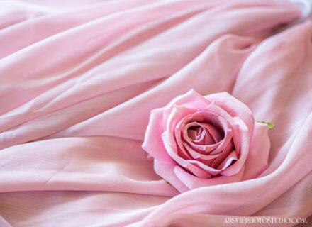 rose fabric brand image
