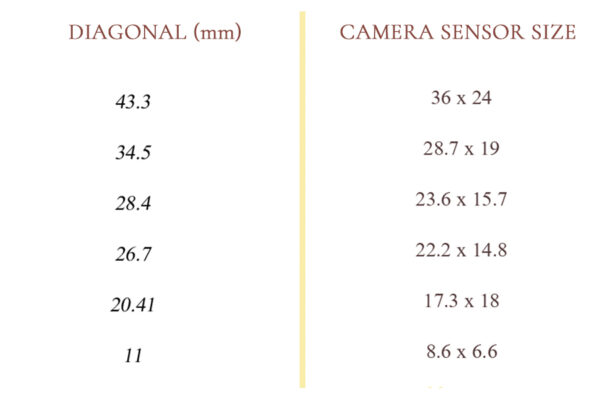 Camera sensor basics for beginners in photography.