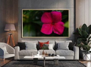 In this photography art print, “Nectar of Elegance,” a solitary pink flower emerges, exuding an aura of grace and refinement, adorned with just a few water drops.
Photography art print “Nectar of Elegance” would bring a touch of elegance and sophistication to any interior space. It would serve as a captivating focal point against a backdrop of soft, neutral tones like ivory or pale taupe.
As my photography prints and frames are custom made to order according to your specifications, all of our products are final sale and non-returnable..
You can select between standard photo paper or premium fine art paper for your print. I offer a selection of high-quality papers for fine art prints, including Innova Fabriano Printmaking Rag, Canson BFK Rives, and Hahnemühle Photo Rag. These fine art papers are renowned for their exceptional texture, durability, and color reproduction, ensuring that your fine art photo is displayed with the utmost clarity and artistic elegance.
.
.
.
#macrophotography #macromood #macrophoto #macrophotographer #macroworld #macroart #macronature #macrodrops #fineartphotography #fineartphotographer #photoartist #photographyartist #photoprint #photoprints #macrophotographylove #atlantaphotographer #alpharettaphotographer #nikon #nikond750 #nikonphotography #photographer #naturephotography #naturelover #naturephoto #naturephotographer #nature_brilliance #waterdropphotography #photographylovers