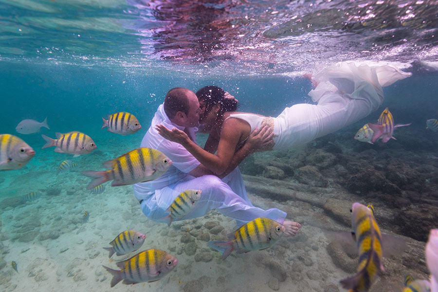 creative ocean photography fish couple