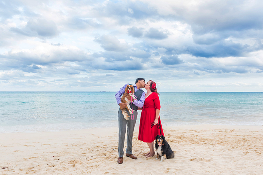 owners and dogs photoshoot on the beach