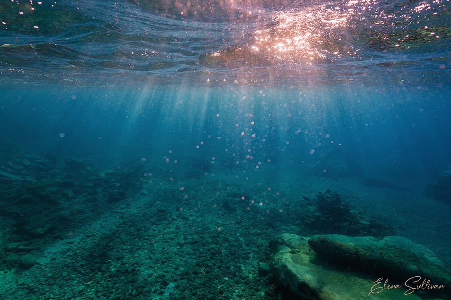 underwater photography elena sullivan