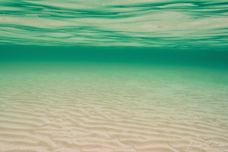 underwater photography sea sand pattern