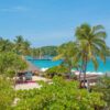 beach-stock-photos-tropical-palmtrees-seacoast-view