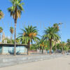 palmtrees-street-stock-photos