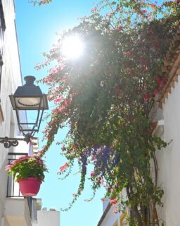 I swear it’s impossible to resist taking photos here in Spain especially in old towns filled with history. So my camera and I are in a constant state of creative euphoria.
And I’ve realized that when you’re exploring a new place (and trying to make it feel like home), noticing the little details matters, it’s how you start to understand the character of a city.
Marbella Old Town is full of tiny surprises for anyone who slows down a bit.
Narrow streets, colorful tiles framing doorways, flowers spilling down white walls, and small bars tucked away like hidden treasures.
Every corner seems to whisper stories from the past. The walls and cobblestones hold layer after layer of history, centuries of life and culture that still pulse through the streets today. One detail, one street, one beautiful moment at a time. #marbella #spain #movetospain #travel #andalucia