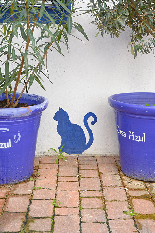 details-blue-cat-painted-on-wall-spain