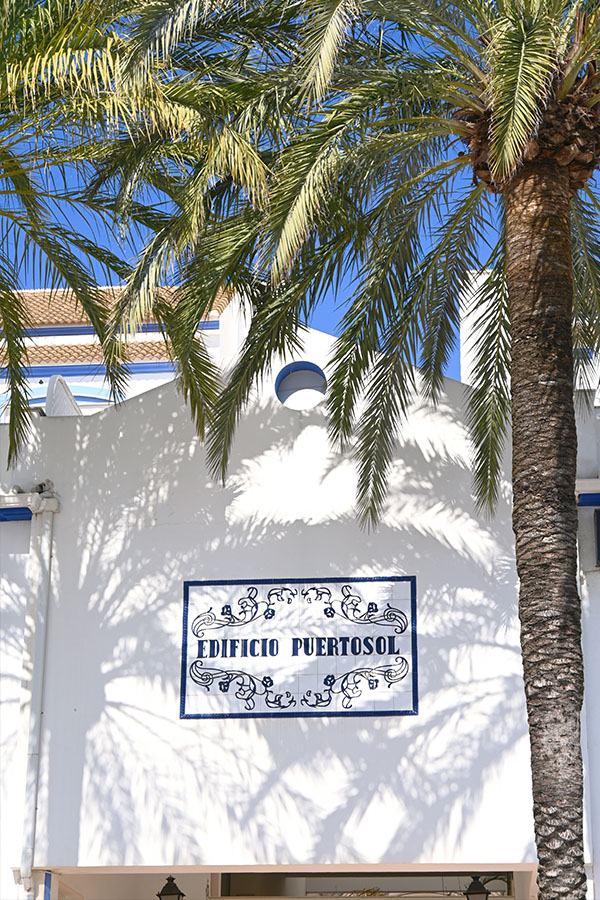 palmtrees-in-spain-reflected-on-wall-photos
