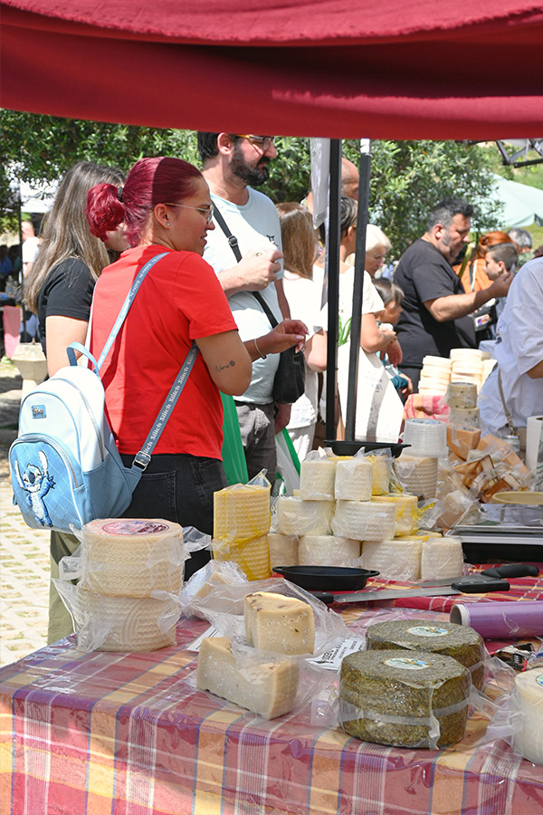 travel-photography-food-market-spain