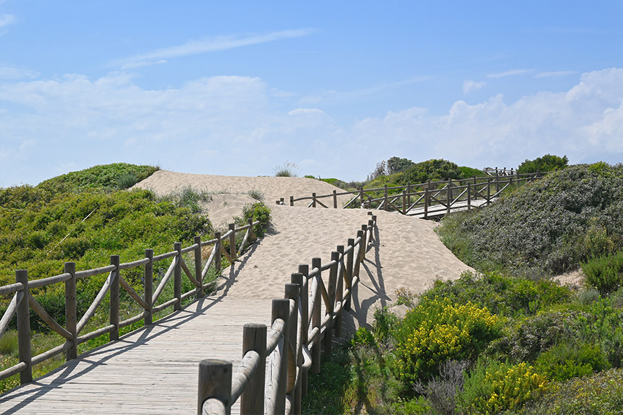 Boardwalk-winding-through-sandy-hills-and-greenery-Spain-beaches-Playa-Cabopino