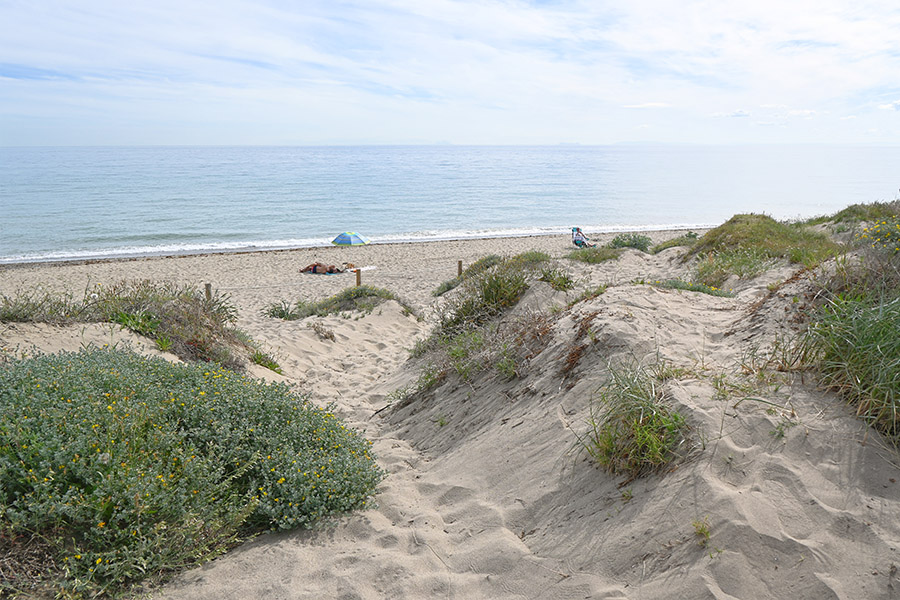 Sandy-dunes-overlooking-the-shores-of-Spain-best-beaches-Real-de-la-Zaragoza-under-a-bright-sky