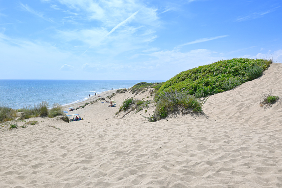 Wide-sandy-dunes-sloping-toward-the-ocean-Spain-beaches-Playa-Cabopino