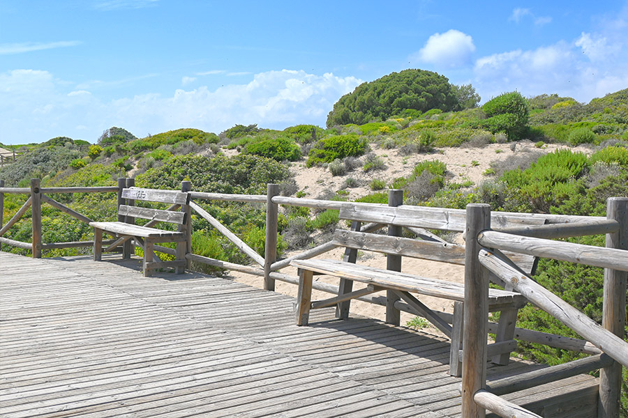Wooden-benches-on-a-deck-facing-the-dunes-Spain-beaches-Playa-Cabopino