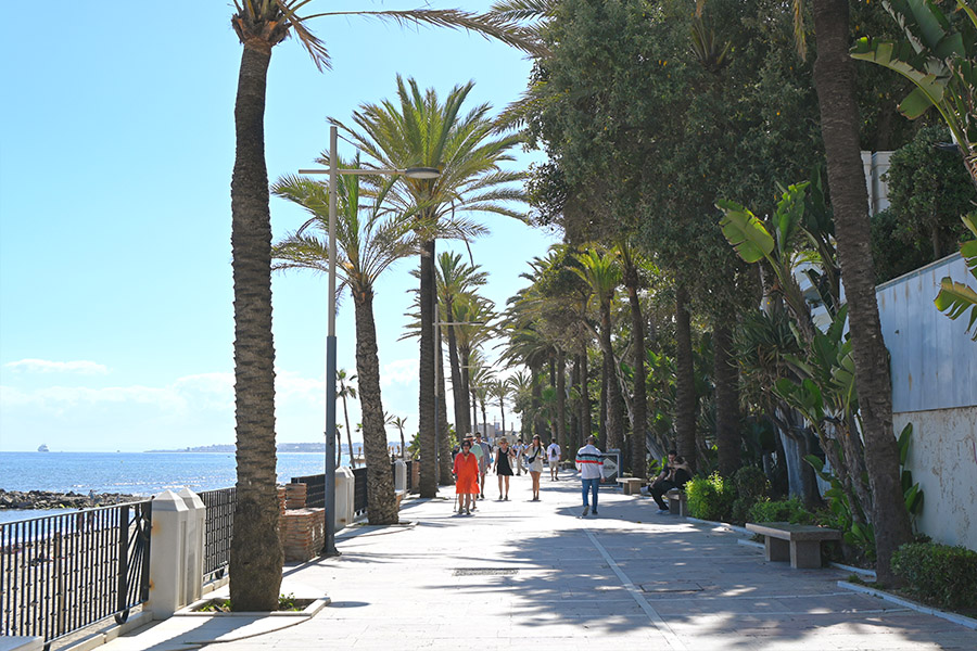 best-beaches-in-marbella-fontanilla-palm-promenade