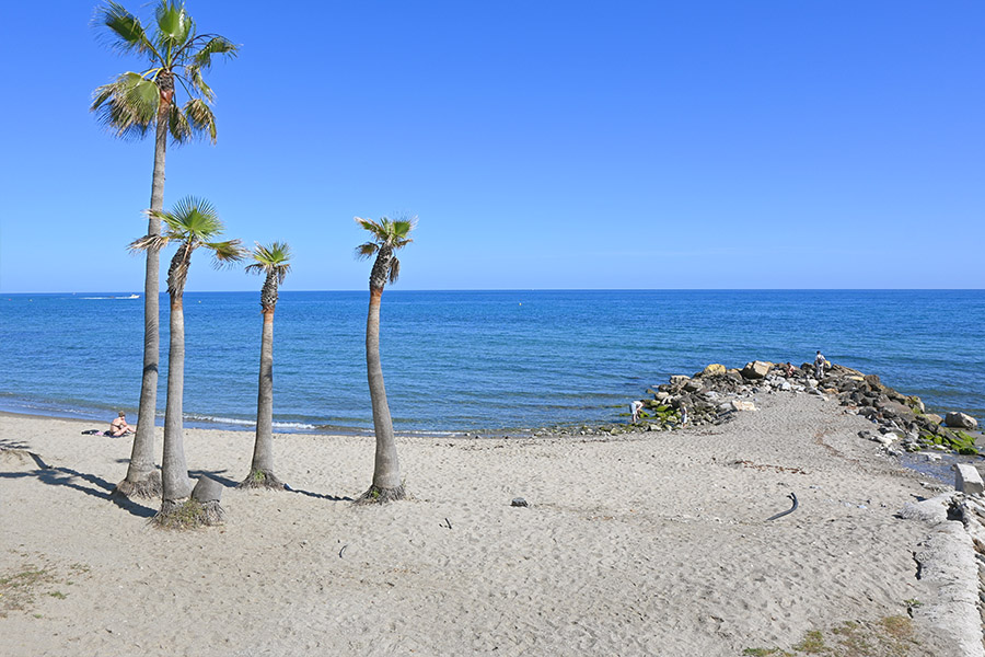 best-beaches-in-marbella-fontanilla-palm-shore
