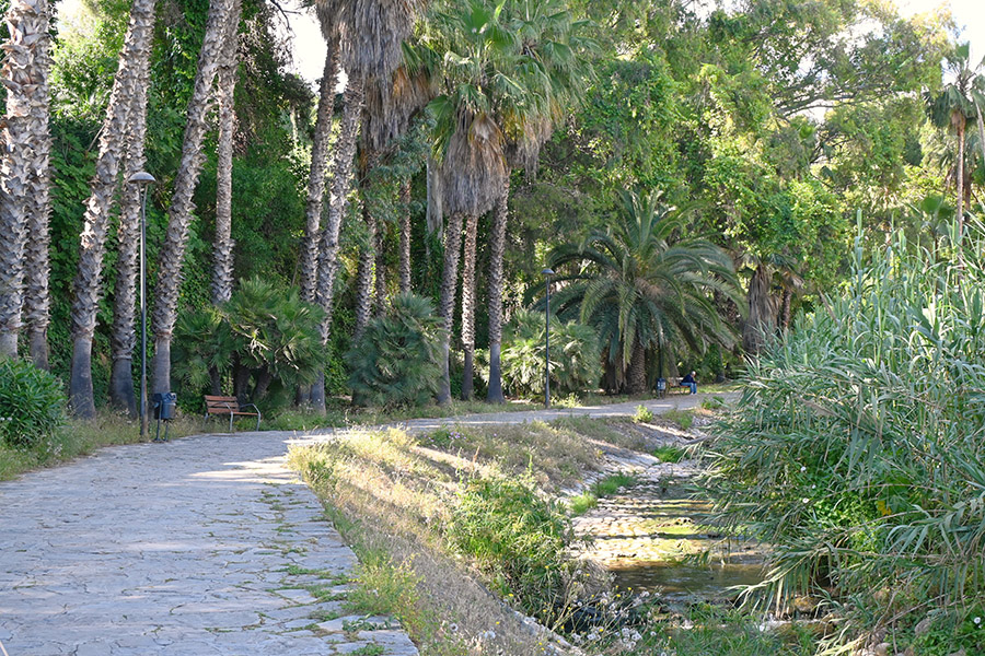 best-beaches-in-marbella-fontanilla-tropical-path