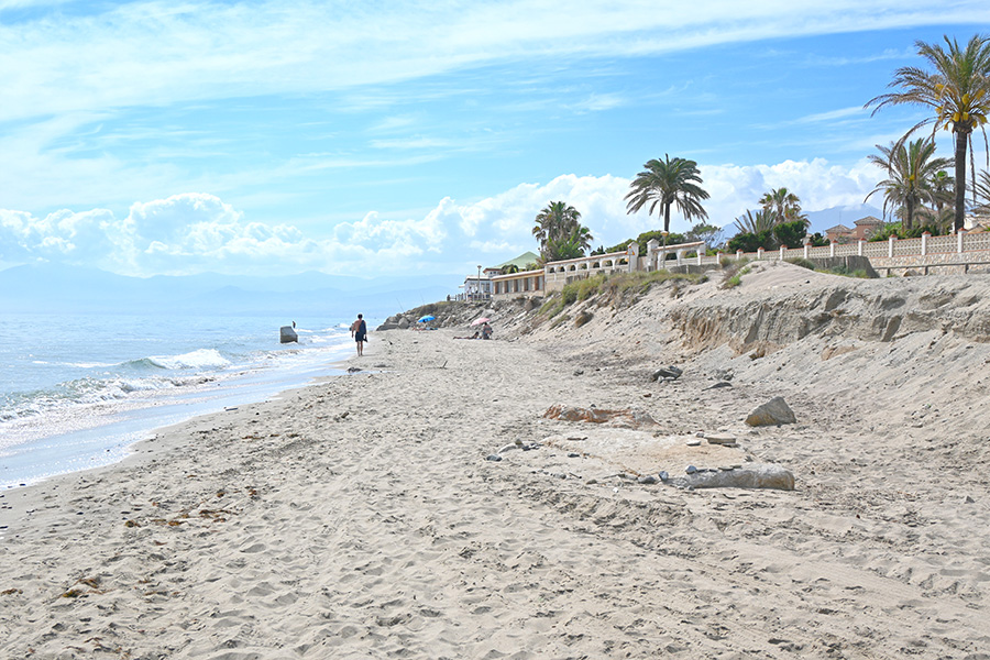scenic-view-of-the-shoreline-featuring-palm-trees-and-buildings-situated-atop-a-small-dune