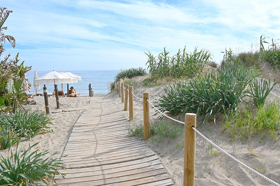 wooden-walkway-leading-through-coastal-flora-toward-Spain-best-beaches-Real-de-la-Zaragoza
